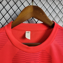 Camisa do Palmeiras Vermelha 2022/23 - Treino