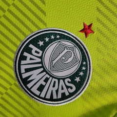 Camisa do Palmeiras Verde 2022/23 - Goleiro na internet