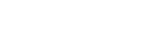 Moala chocolates