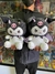KUROMI PELUCHES HELLO KITTY GRANDE 35 CM ⭐⭐⭐⭐⭐. - comprar en línea