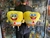 Imagen de BOB ESPONJA PELUCHES BOB ESPONJA 30 CM ⭐⭐⭐⭐⭐