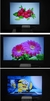 Imagem do Salange YG300 Mini LED Projector Yg300 Upgraded Version 600 lumen 320x240P HDMI-