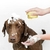 Bathroom Puppy Big Dog Cat Bath Massage Gloves Brush Soft Safety Silicone Pet A - Organic shop