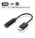 Adaptador Auxiliar a Tipo C - comprar online