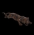 Escultura de madeira minuciiosamente entalhadada representando pantera em posição de ataque. Medidas 12 x 62 x 16 cm. - comprar online