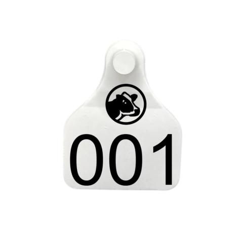 BRINCO GRANDE PERSONALIZADO IDENTIFICAÇÃO ANIMAL - 100 UNIDADES na internet