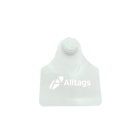 BRINCO MÉDIO PERSONALIZADO IDENTIFICAÇÃO ANIMAL - 600 UNIDADES - Alltags Identificação Animal 