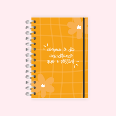 caderno pautado - loja online