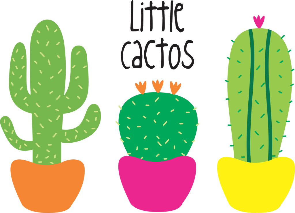 Little Cactos