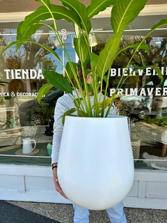 MACETA GOTA - LA TIENDA BOTÁNICA Y DECORACIÓN 