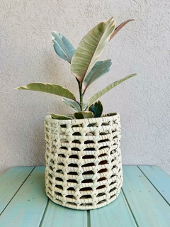 CESTOS PALMA - LA TIENDA BOTÁNICA Y DECORACIÓN 