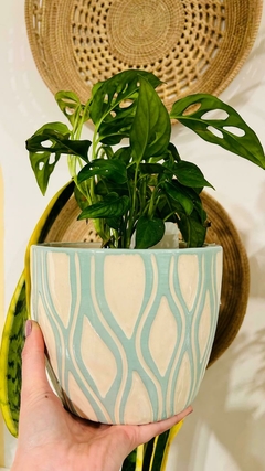 MACETA XL - LA TIENDA BOTÁNICA Y DECORACIÓN 