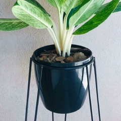 MACETA DE PLASTICO