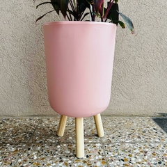 PIE AMBAR - LA TIENDA BOTÁNICA Y DECORACIÓN 