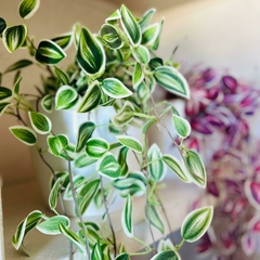 PLANTA ARTIFICIAL COLGANTE