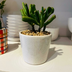 MACETA XS - LA TIENDA BOTÁNICA Y DECORACIÓN 