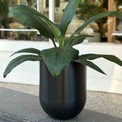 ROTOMOLEADA ECO