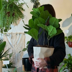 PLANTA ARTIFICAL GRANDE - comprar online