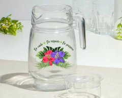 Conj. 1 Jarra 1.6 L + 6 Copos 190ml Personalizados Pantanal Fauna Vidro Resistente na internet