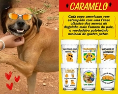 6 Copos Americanos Vidro 190ml Personalizado Frases Caramelo - Oro Comércio
