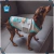 Sniffanny Bear Blue Box Tank - comprar en línea