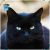 Par de calcetas Black Cat - comprar en línea