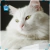 Par de calcetas White Cat - comprar en línea
