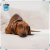 Par de calcetas Dachsund Doble Vista - La Pet Boutique Chic
