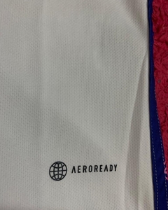 Camiseta Belgica Copa 2022 Away na internet