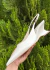 Slingback Siena Schutz - comprar online