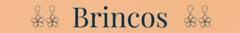 Banner da categoria Brincos