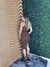 Vestido Bruna na internet