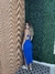 Vestido Mia na internet