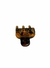 Piranha Petit Vivi Mesclado - comprar online