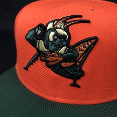 GORRA PLANA REGULABLE GREENSBORO GRASSHOPPERS 47 BRAND. en internet