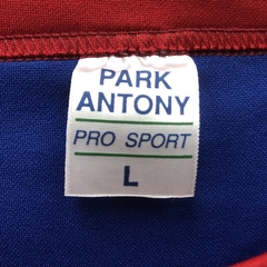 REMERA DEPORTIVA PISTONS PARK ANTONY. - tienda online