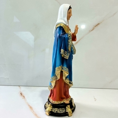 Imagem imaculado Coração de Maria em Resina Importada 30cm - loja Frei Mariano