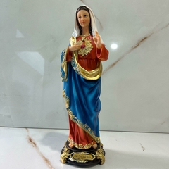 Imagem imaculado Coração de Maria em Resina Importada 30cm na internet