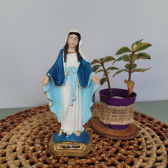 Imagem Nossa Senhora das Graças Resina / 16cm - loja Frei Mariano