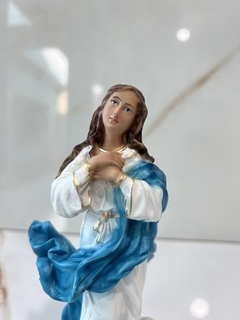 Imagem de Nossa Senhora da Imaculada Conceição 20cm Resina maciça pintada a mão - loja online