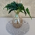 Florero Lara - comprar online