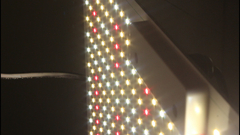 Panel Led Cultivo Indoor Full Spectrum 150w Luz Rgb Practiled R150-rgb - H420