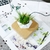 Imagem do Levitating Air Bonsai Pot Rotation Flower Pot Planters Magnetic Suspension Floating Pot Potted Plant Home Desk Decoração
