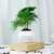 Levitating Air Bonsai Pot Rotation Flower Pot Planters Magnetic Suspension Floating Pot Potted Plant Home Desk Decoração