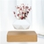 Levitating Air Bonsai Pot Rotation Flower Pot Planters Magnetic Suspension Floating Pot Potted Plant Home Desk Decoração na internet