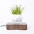 Levitating Air Bonsai Pot Rotation Flower Pot Planters Magnetic Suspension Floating Pot Potted Plant Home Desk Decoração