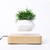 Imagem do Levitating Air Bonsai Pot Rotation Flower Pot Planters Magnetic Suspension Floating Pot Potted Plant Home Desk Decoração