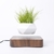 Levitating Air Bonsai Pot Rotation Flower Pot Planters Magnetic Suspension Floating Pot Potted Plant Home Desk Decoração