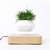 Levitating Air Bonsai Pot Rotation Flower Pot Planters Magnetic Suspension Floating Pot Potted Plant Home Desk Decoração - Purple House