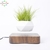 Levitating Air Bonsai Pot Rotation Flower Pot Planters Magnetic Suspension Floating Pot Potted Plant Home Desk Decoração na internet